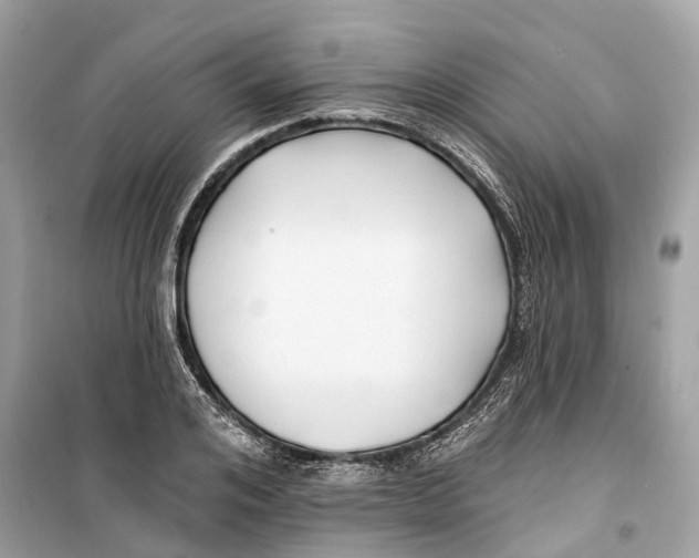 X0000099320984200805231421