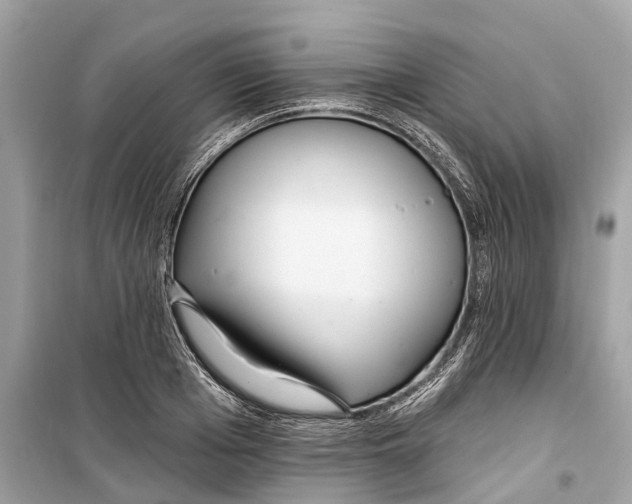 X0000099320985200805231421