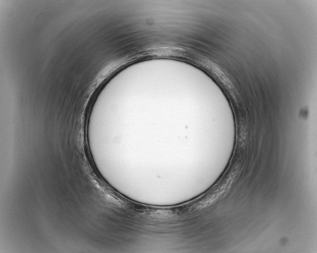 X0000099320986200805231421