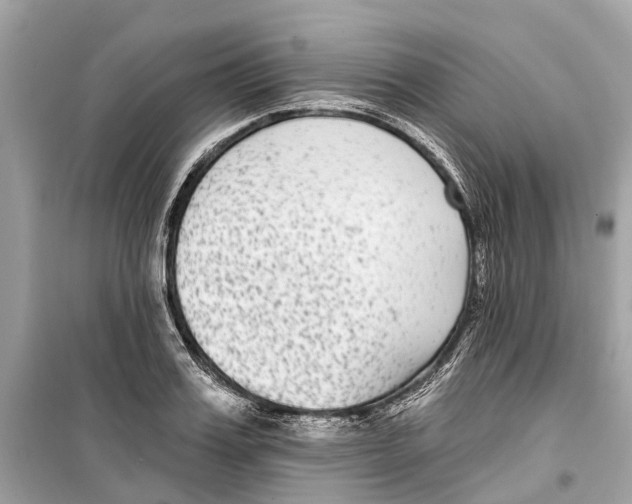 X0000099320987200805231421