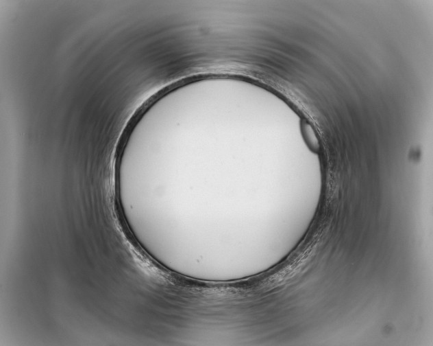 X0000099320988200805231421