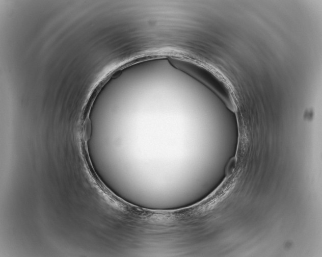 X0000099320989200805231421