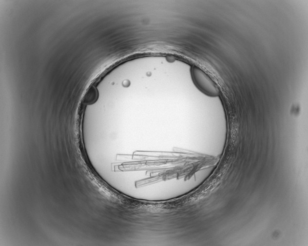 X0000099320990200805231421