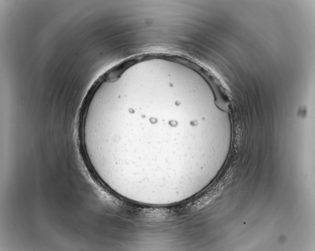 X0000099320991200805231421