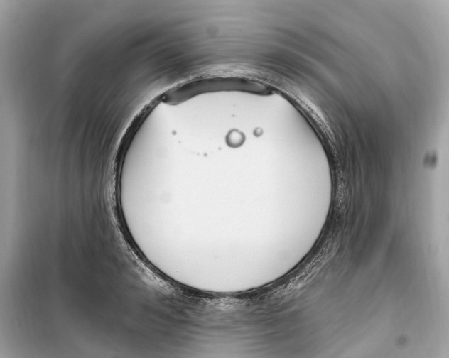 X0000099320992200805231421