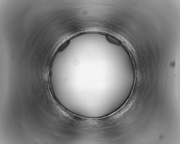 X0000099320993200805231421