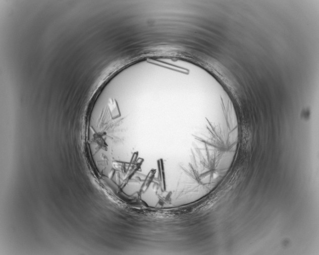 X0000099320994200805231421