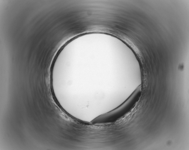 X0000099320996200805231421