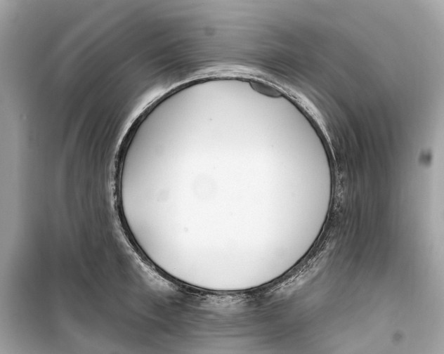 X0000099320997200805231421