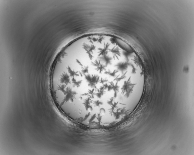 X0000099320998200805231421