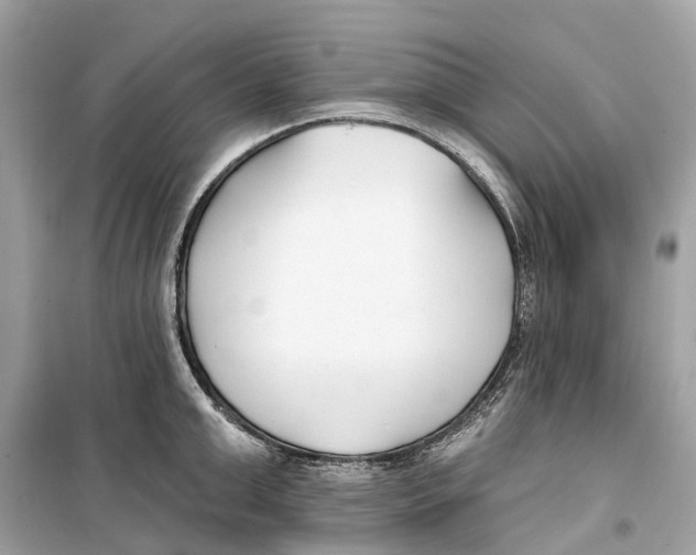 X0000099320999200805231421