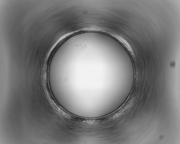 X0000099321000200805231421