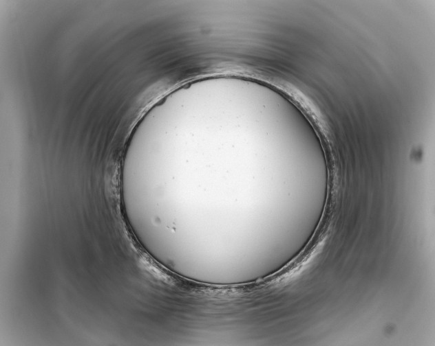 X0000099321001200805231421