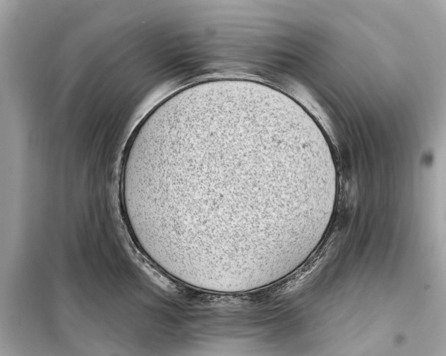 X0000099321002200805231421