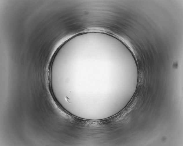 X0000099321003200805231421