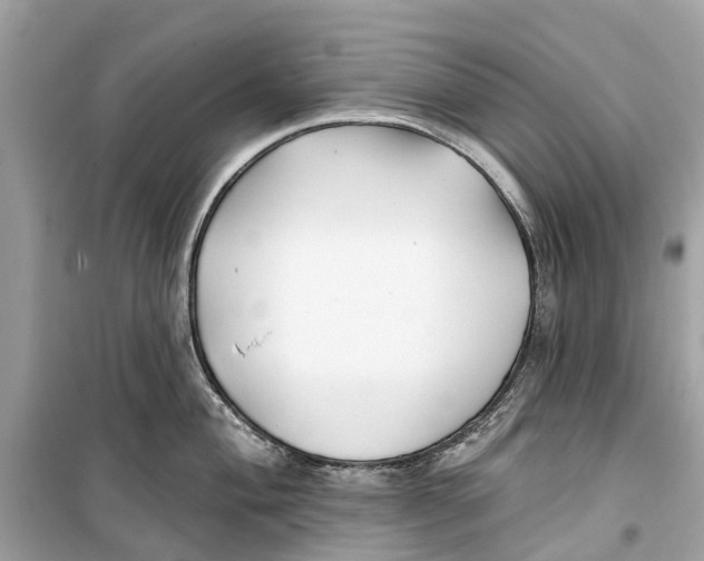 X0000099321004200805231421