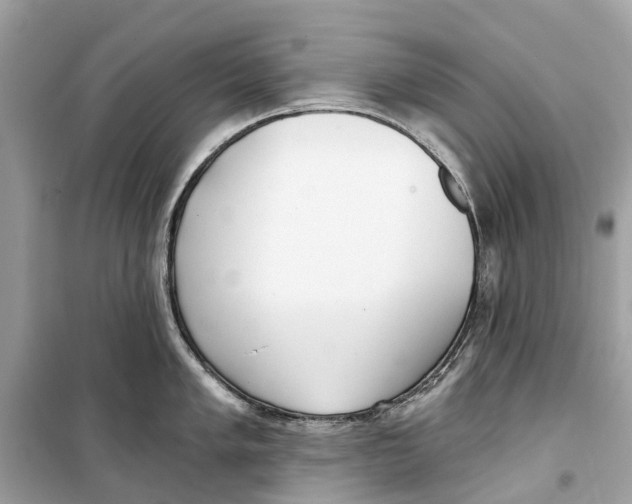 X0000099321005200805231421