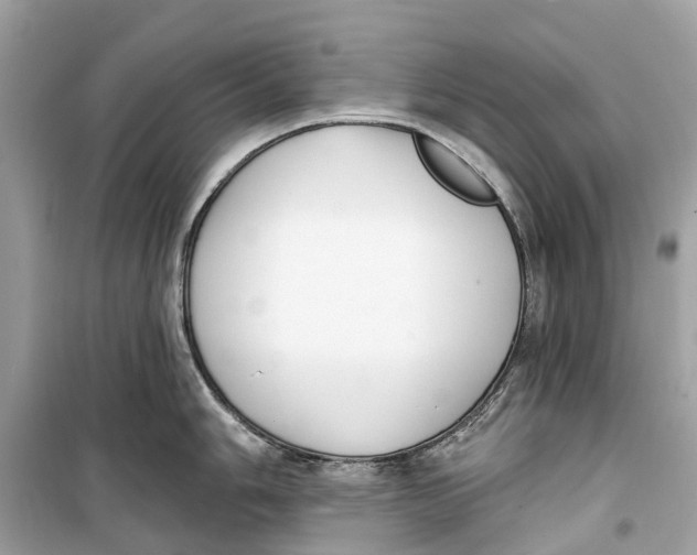 X0000099321006200805231421