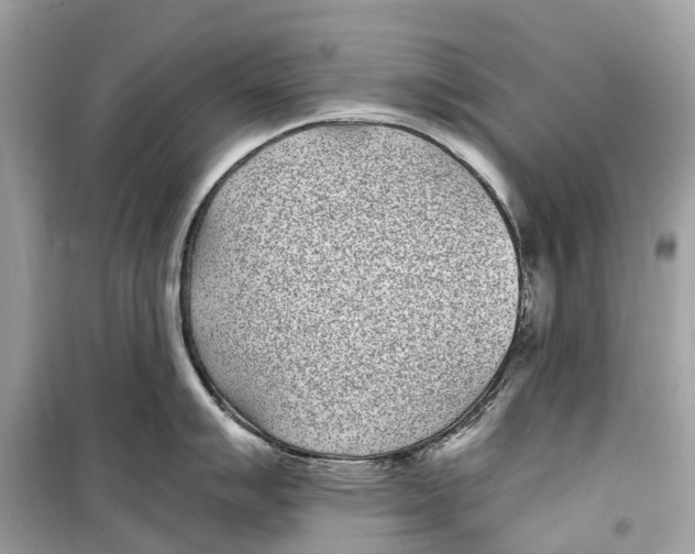 X0000099321007200805231421