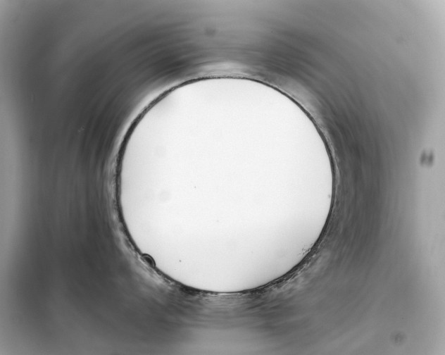 X0000099321008200805231421