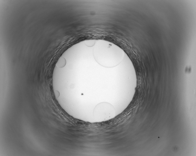 X0000099321009200805231420