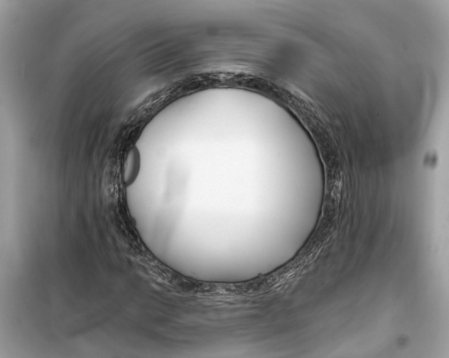 X0000099321014200805231420