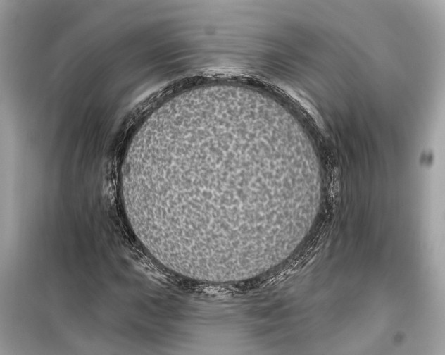 X0000099321015200805231420