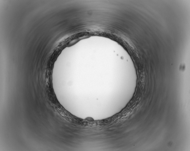 X0000099321016200805231420