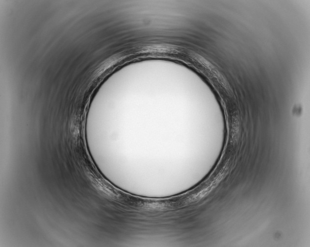 X0000099321017200805231420