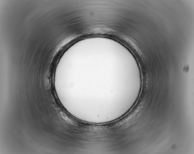 X0000099321018200805231420