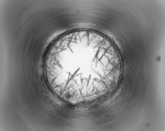 X0000099321019200805231420