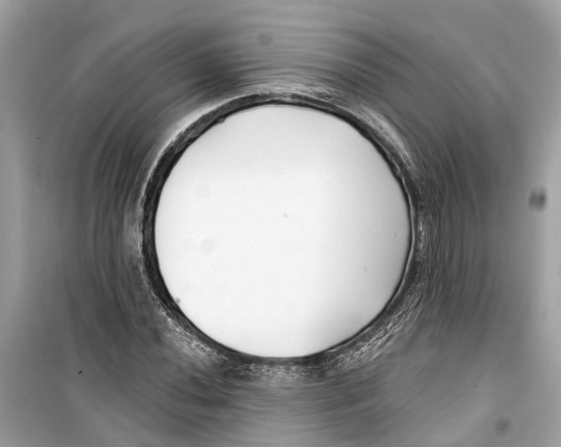 X0000099321020200805231420