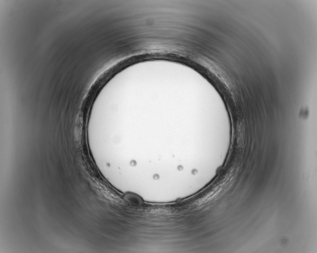 X0000099321021200805231420