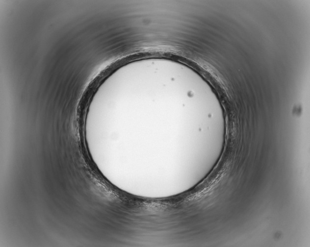 X0000099321022200805231420