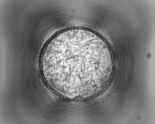 X0000099321023200805231420