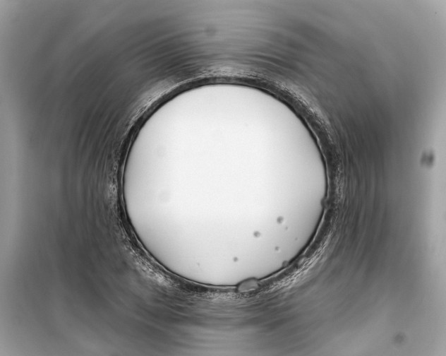 X0000099321025200805231420