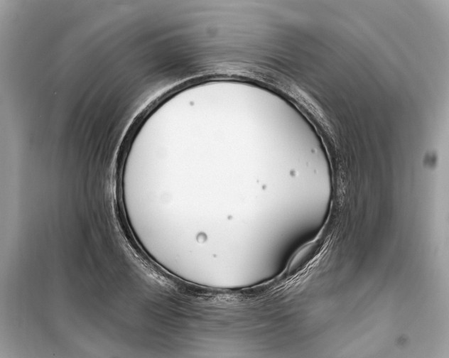 X0000099321028200805231420