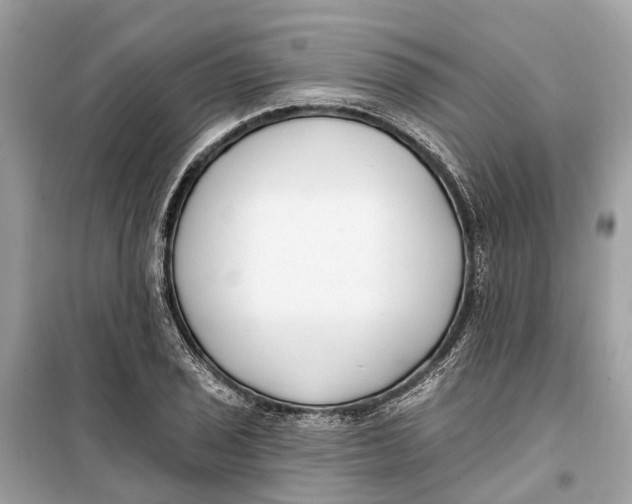 X0000099321029200805231420