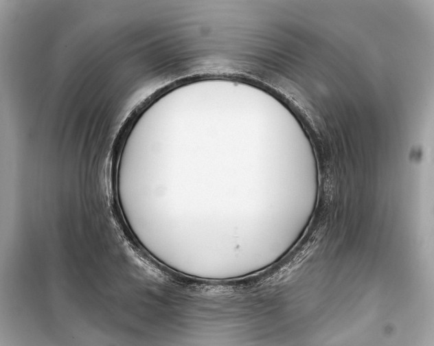 X0000099321030200805231420