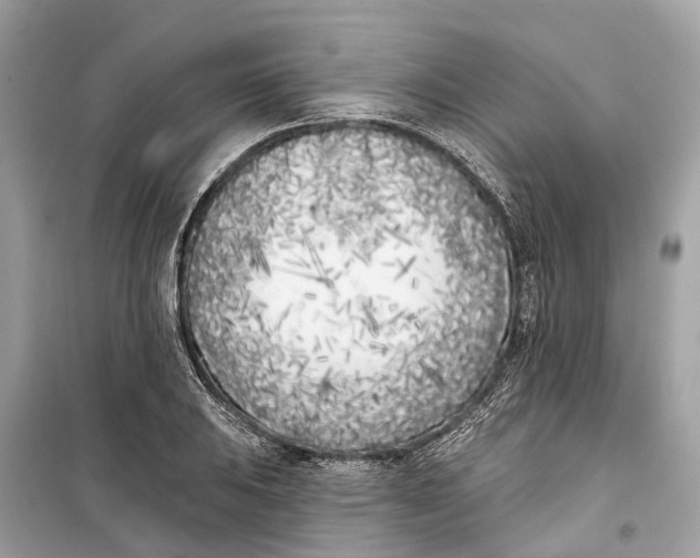 X0000099321031200805231420