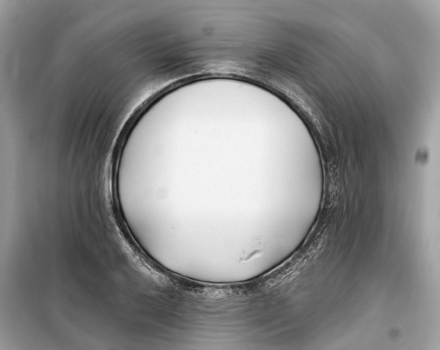 X0000099321032200805231420