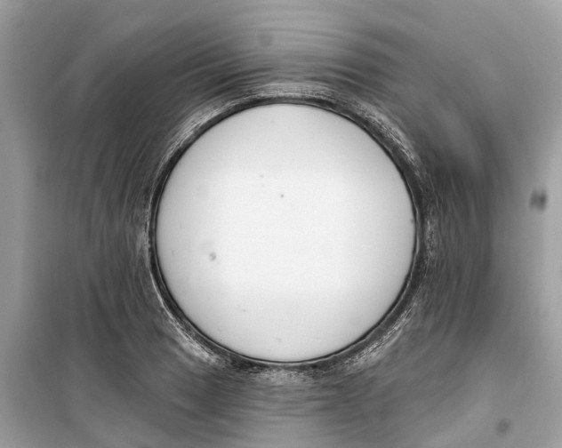 X0000099321033200805231420