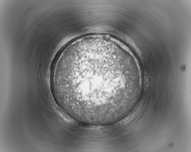 X0000099321035200805231420