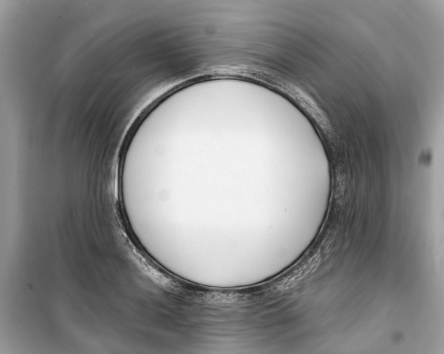 X0000099321036200805231420