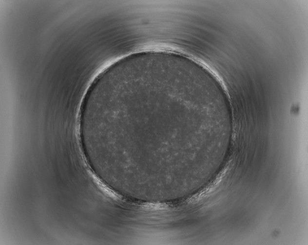 X0000099321037200805231420