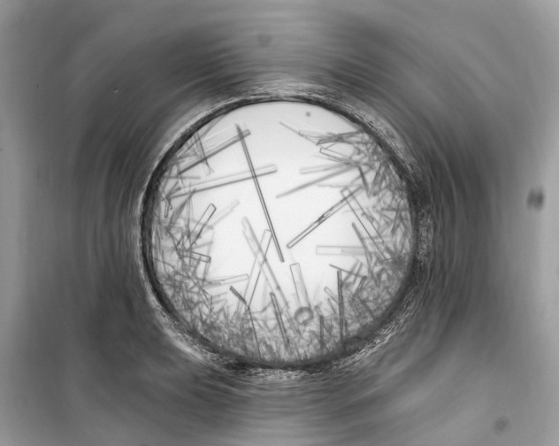 X0000099321039200805231420