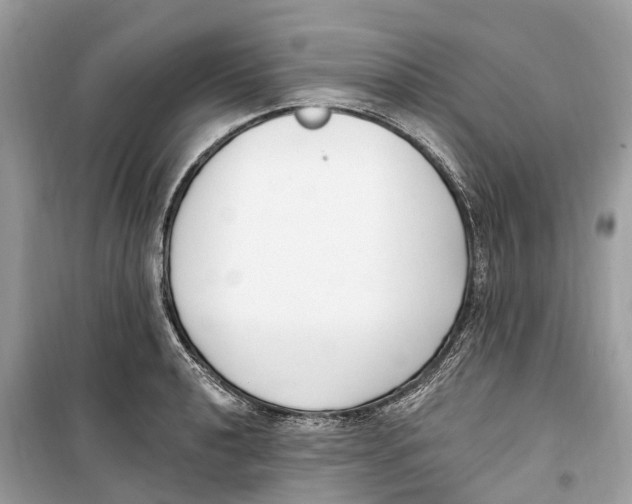 X0000099321040200805231420