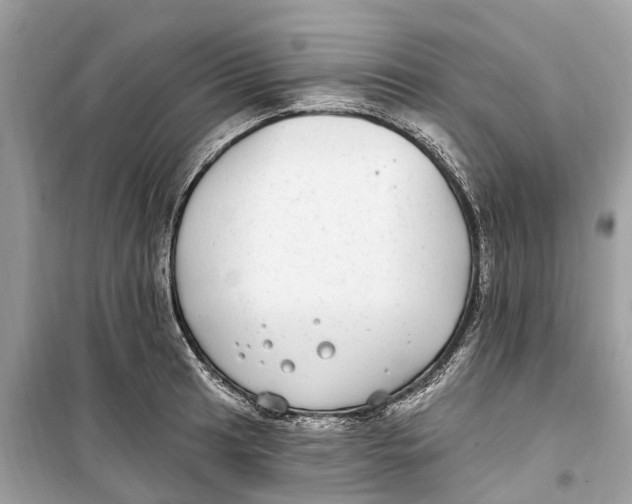 X0000099321041200805231420