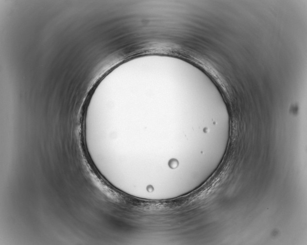 X0000099321042200805231420