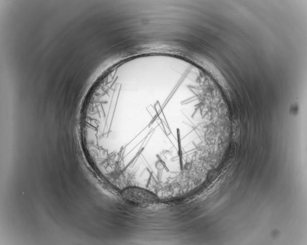 X0000099321043200805231420